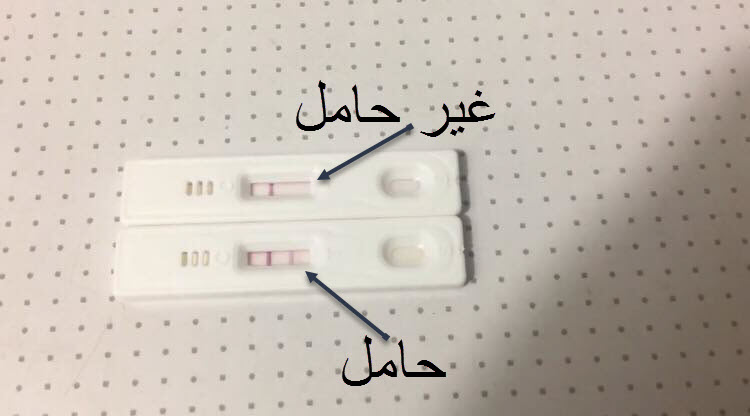 المصباح الكهربائي شهر الحماية طريقة تحليل اختبار الحمل المنزلي Dsvdedommel Com