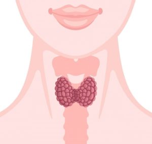 طريقة علاج الغدة الدرقية