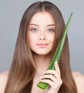 مميزات الصبار لتساقط الشعر
