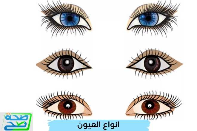 انواع العيون