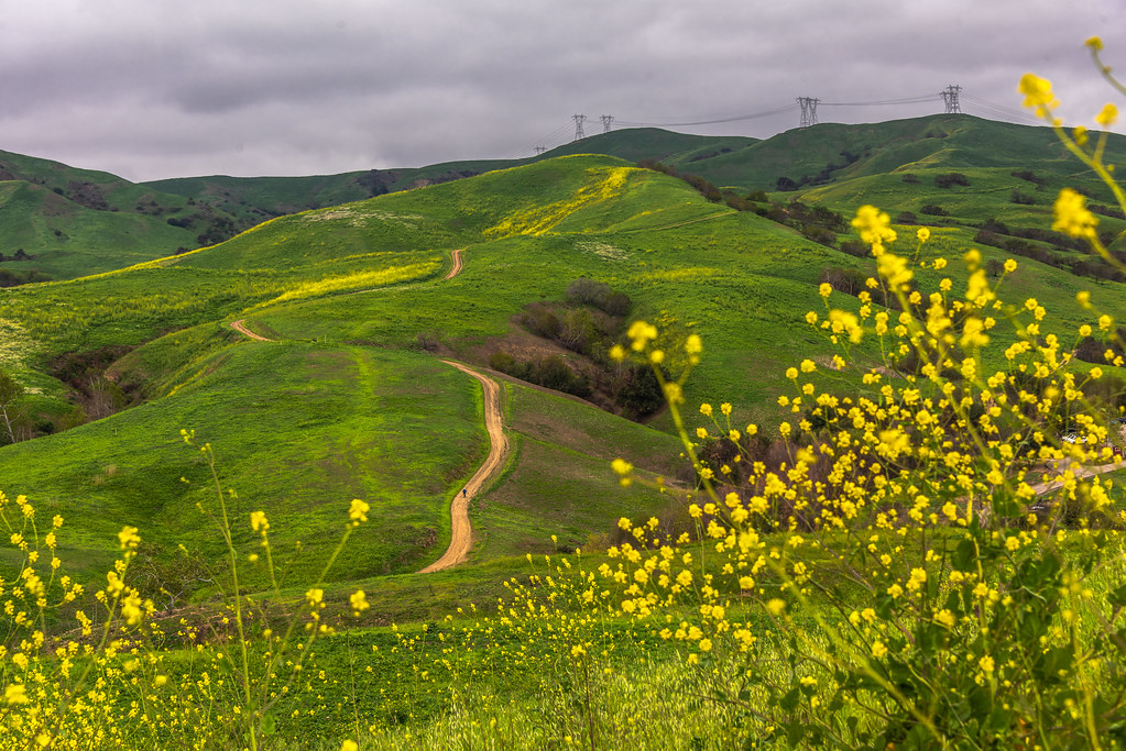 Beyond the Trails|Exploring the Cultural and Historical Significance of Chino Hills State Park