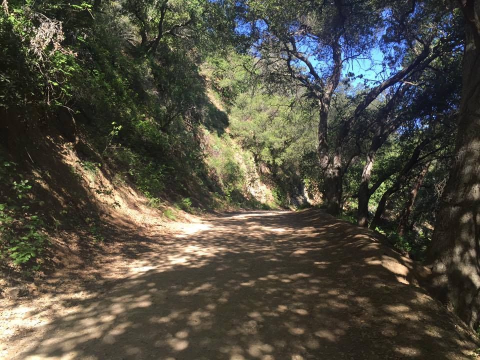 A Journey Through Time|Historical Significance of the Claremont Loop Trail