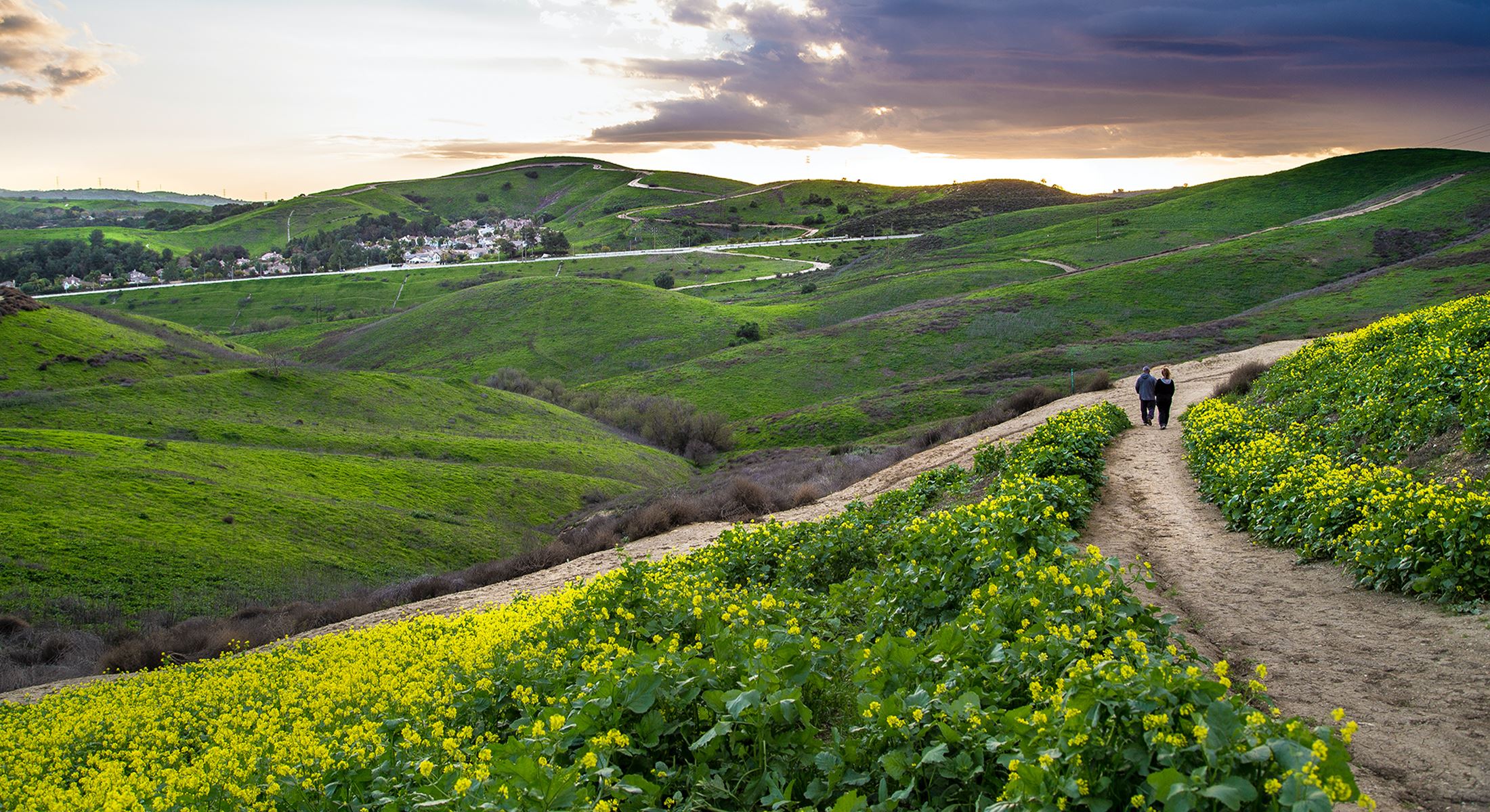 A Haven for Hikers, Bikers, and Horseback Riders|Exploring Chino Hills State Park's Trails