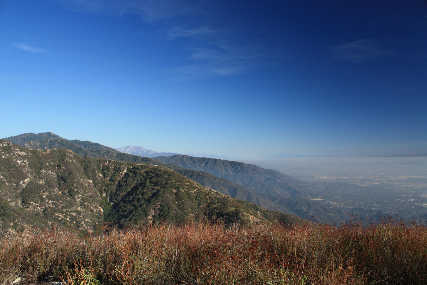 Essential Tips for Exploring Bailey Canyon Wilderness Park