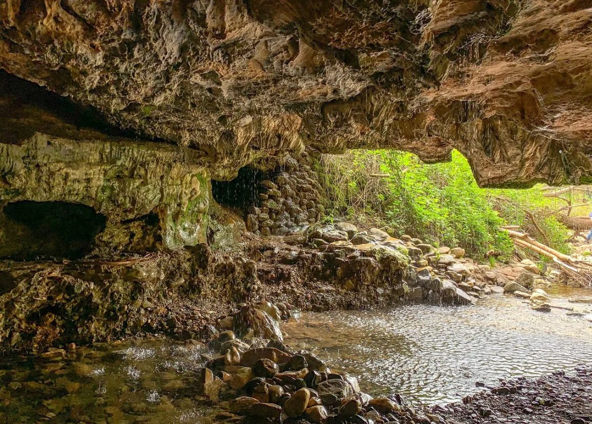 A Gallery of Wonders: Unveiling the Beauty of Coyote Creek Cave