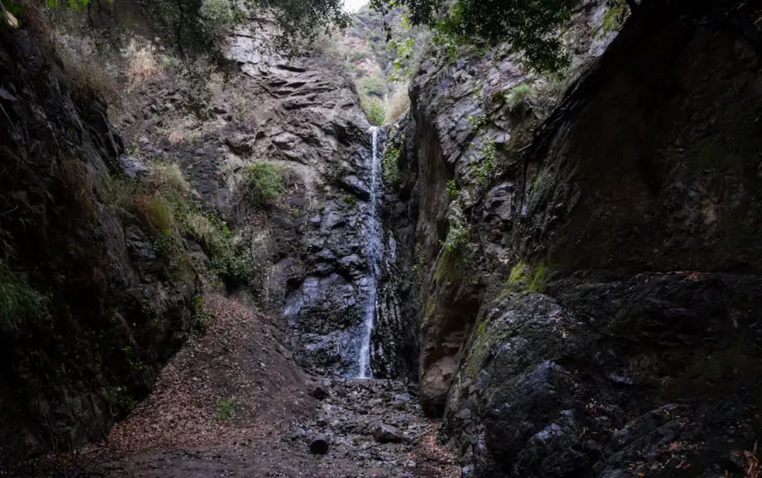 A Refuge for Nature|Unveiling the Flora and Fauna of Bailey Canyon