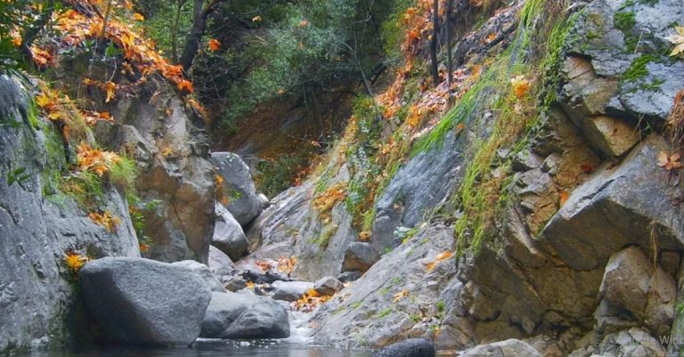 Unveiling First Water| A Refreshing Escape on the Mount Wilson Trail