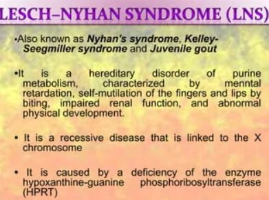 lesch nyhan syndrome