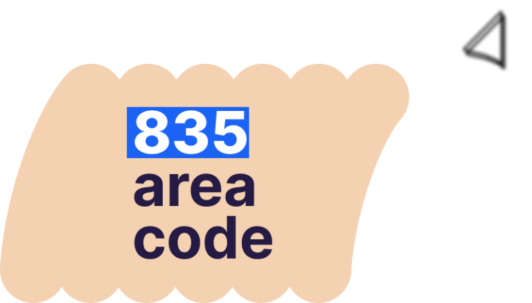 835 area code