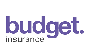 insurance budget