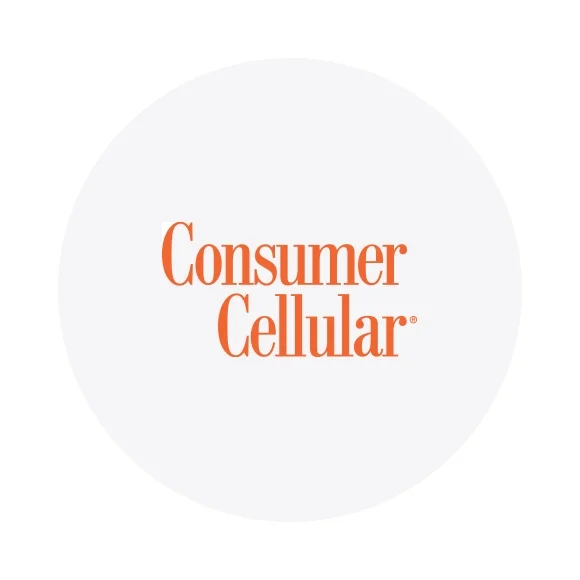 consumer cellular $100 offer