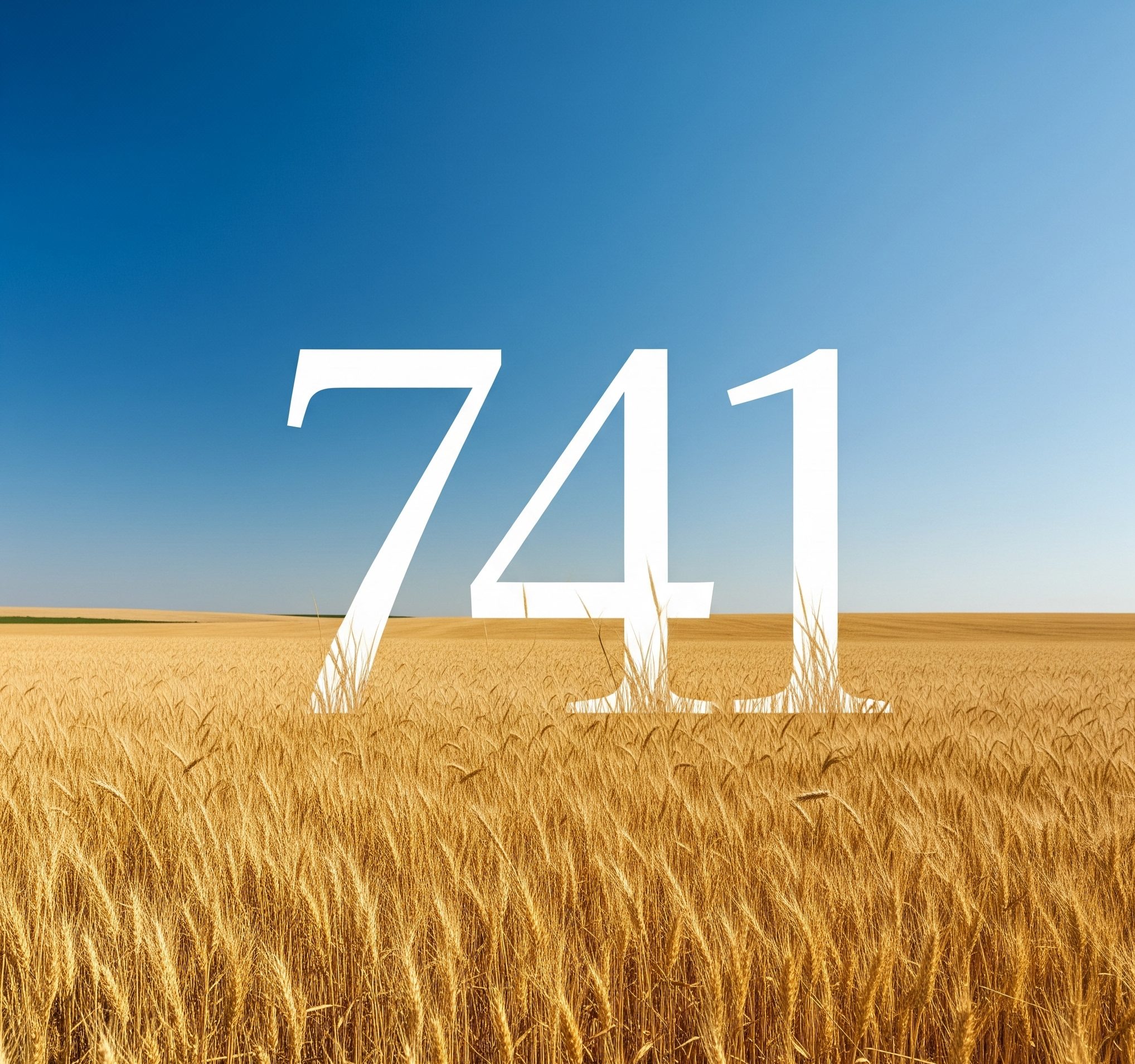 741 area code
