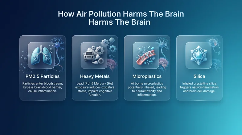 Is the Air You Breathe Shrinking Your Brain? Scientists Discover Toxic Particles Physically Altering Human Tissue