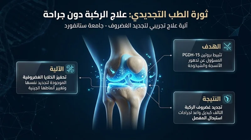 وداعاً لعمليات استبدال المفاصل: اكتشاف طبي مذهل يجدد "غضروف الركبة" التالف بدون جراحة!
