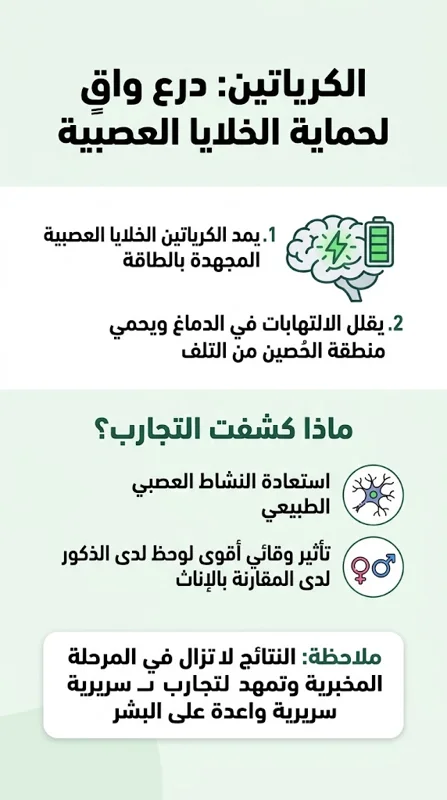 مفاجأة طبية: مكمل رياضي شهير قد ينقذ دماغك من مضاعفات التهاب الأمعاء